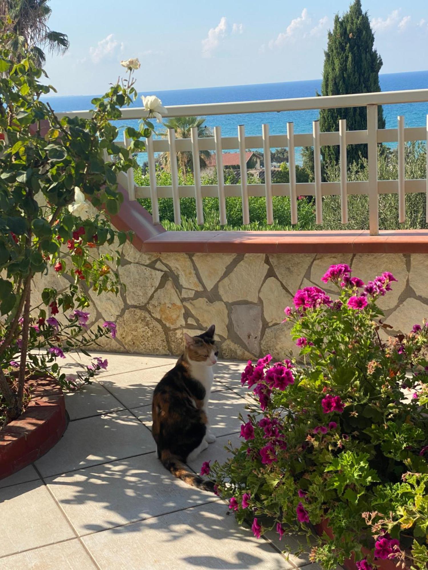 Villa Mare Giuggiola Alcamo Marina Eksteriør bilde