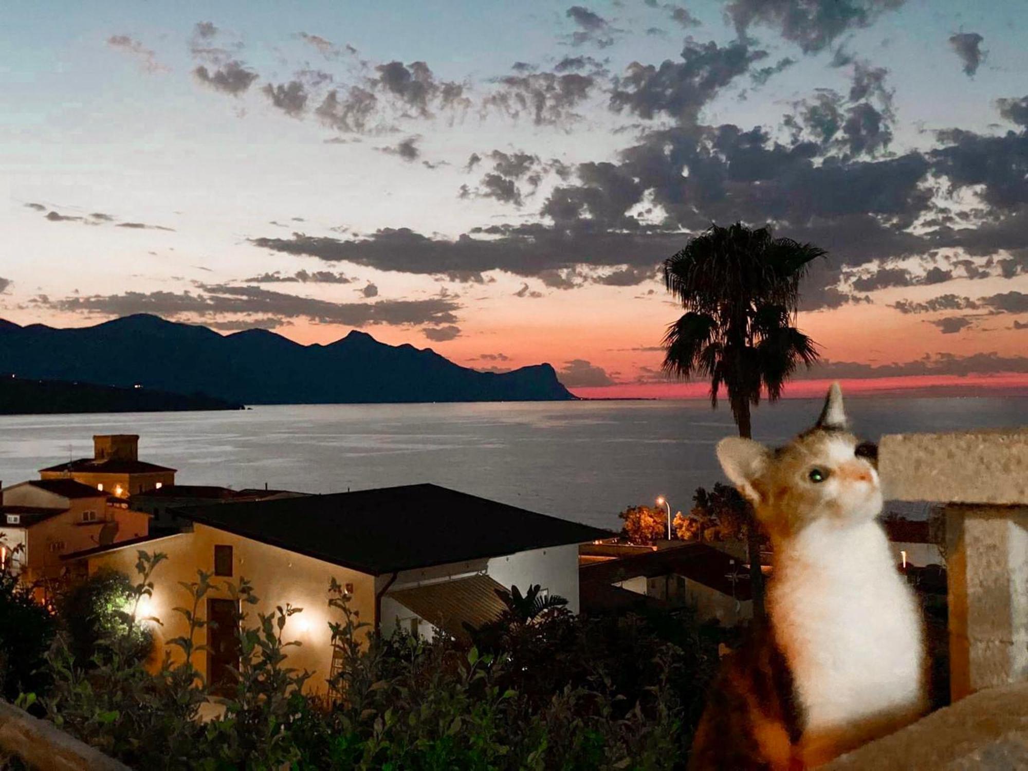 Villa Mare Giuggiola Alcamo Marina Eksteriør bilde